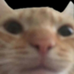 User 174168386