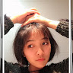 Hoàng Anh Trần (Leonis)