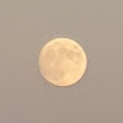 김명석 (이상한무니)