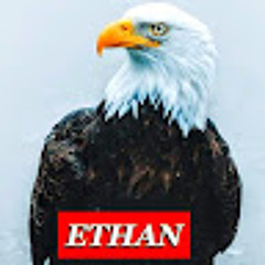 Eketter69