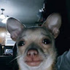 Trúc Lâm