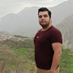 Parsa fatahi