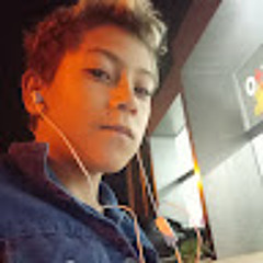 Luis Gustavo Martins Dias