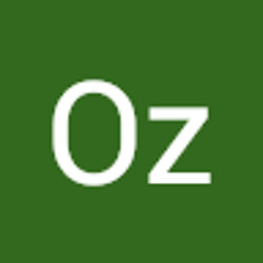 Oz The Engineer