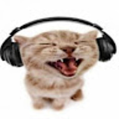 awesomedogchannel