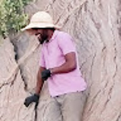 Tebogo Seisa