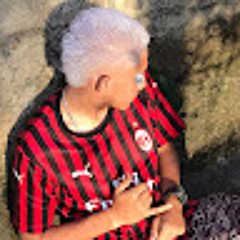 ruan vianna