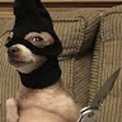 Gangstr Dog