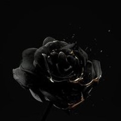 Phúc Gloomy