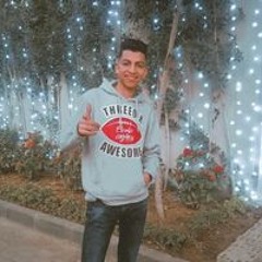 محمود سعيد الصيفي