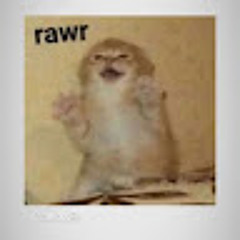 Ahmed Ramzan :D