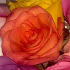Stephanie S