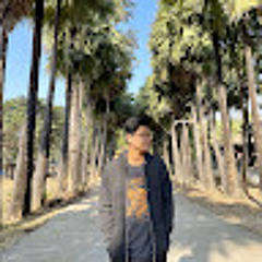 Hponesitt aung