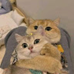 Deni Januar Iskandar