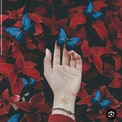 زايد الراشدي