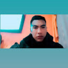 Gustavo Chavez Villegas