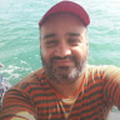 User 433241031