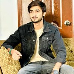 Hasnain Raza
