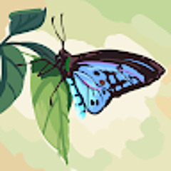 Что писать?