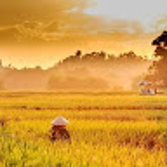 Đình Thịnh