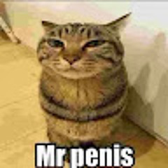mr penis