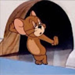 Наталья Стопалова