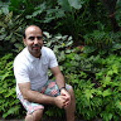 Hamid norouzi
