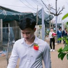 Vũ Thanh