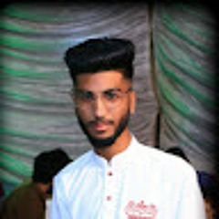Waleed Raja