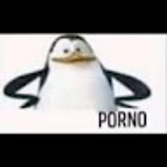 Нестеров Владимир