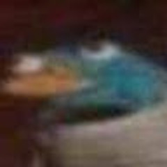 BoMe