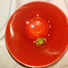 eci “ecibina” bina