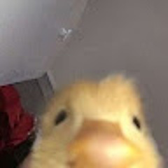 pu