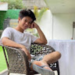 NVCFI_BRYLE SIMBAJON