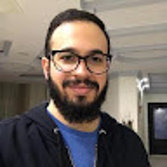 Hesham O.