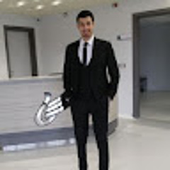 Ahmed Essam Elkholy