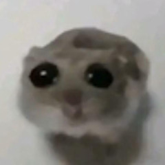 Yurii