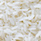 RICE KING