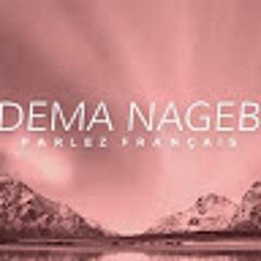 Dima Nageb