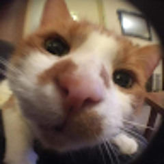 Carolina Giraldo Valencia