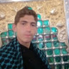 سید سینا سعادتی