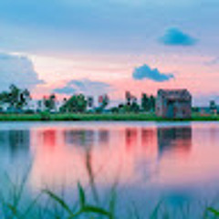 vanminh Tran