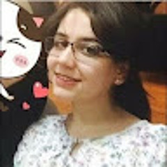 Baraa Feiras