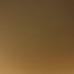 Ahmed Alshamsi