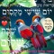 צחי נקיז