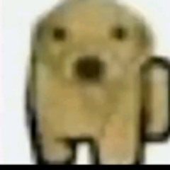 Rodrigo samuel huaylla