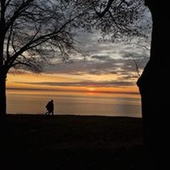 Zsuzsa Kálmánné Mekota