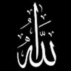 محم فتحي فتحي