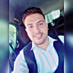 mohamad mohamadhassani