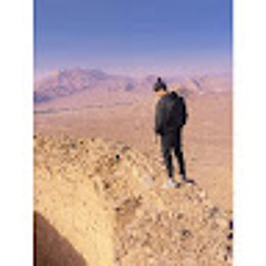 امیرمحمد طوسی
